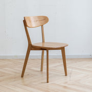 Modern Dining Chairs for Kitchen & Dining Room