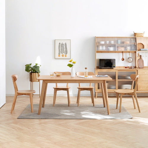 Modern Dining Chairs for Kitchen & Dining Room