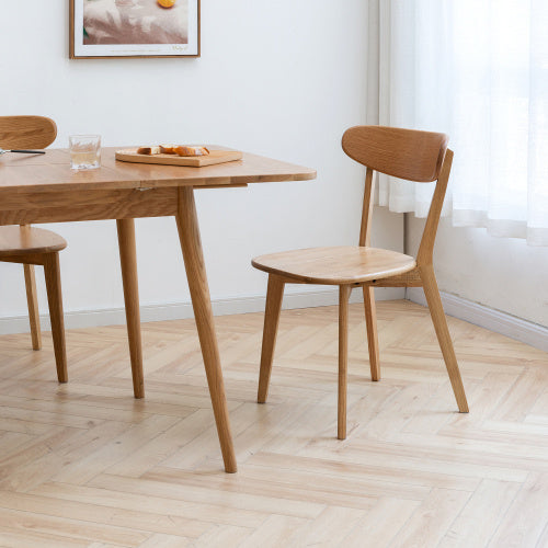 Modern Dining Chairs for Kitchen & Dining Room