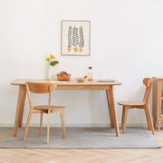 Modern Dining Chairs for Kitchen & Dining Room