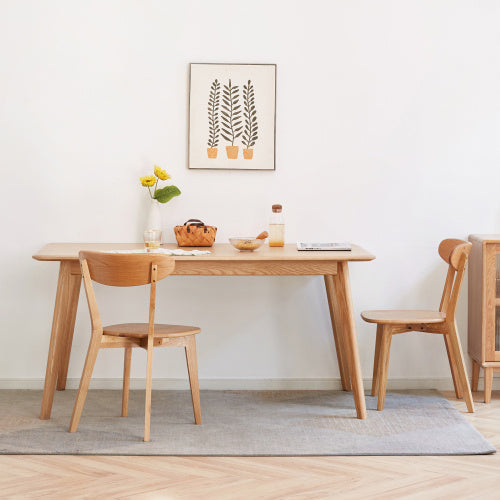 Modern Dining Chairs for Kitchen & Dining Room