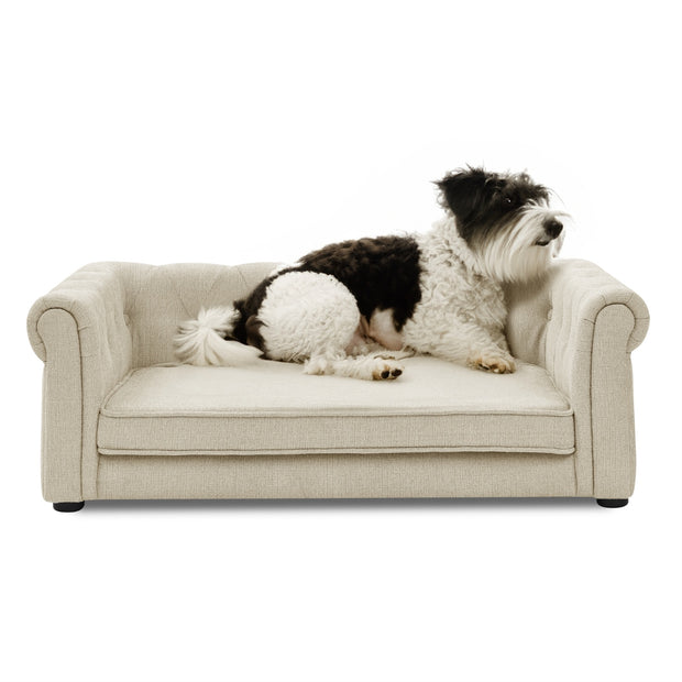 Elegant Rectangle Elevated Pet Bed – Durable & Comfortable for Medium and Large Dogs