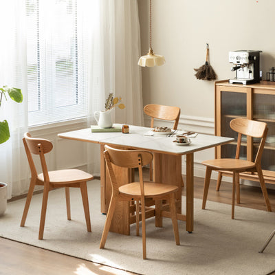Modern Dining Chairs for Kitchen & Dining Room